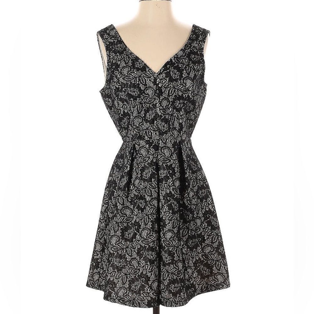 Blue Rain Black Lace V-Neck Pleated Fit & Flare Dress